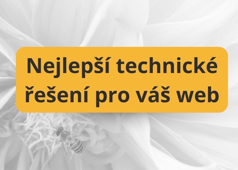 Jak vybrat platformu pro váš web: WordPress, Wix, Webnode nebo Shoptet?