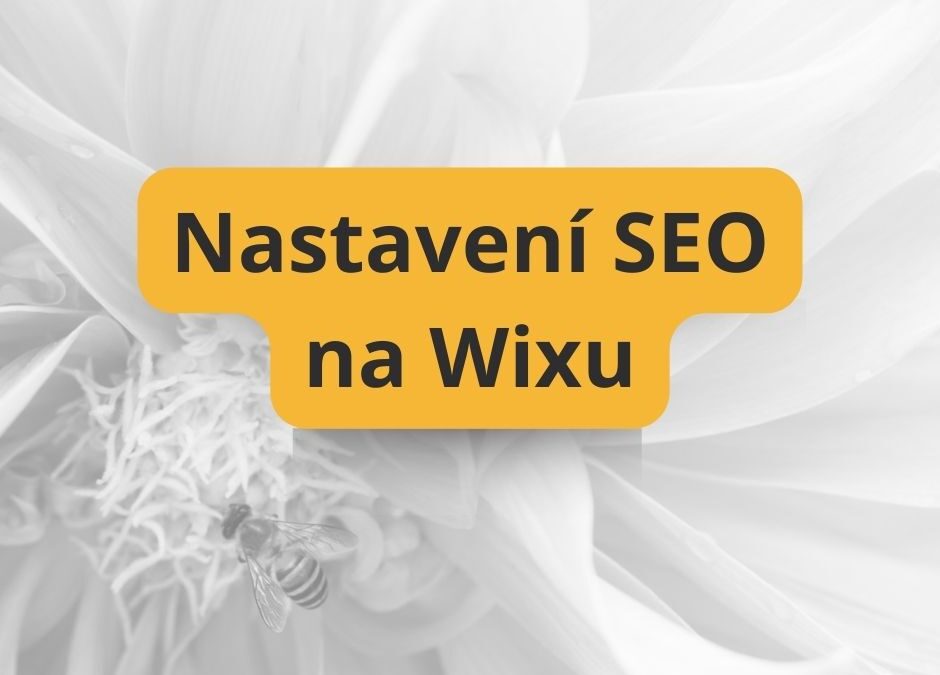 SEO na Wixu