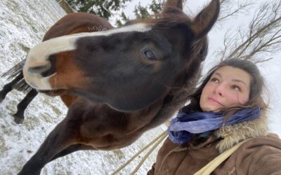 Jak ke koním, tak k lidem… důvěra v kompetenci klientů